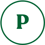 files/seeing_img_1.webp